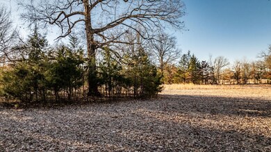 Tract 5 Rooster Rd, Conway, AR 72032 - photo 2