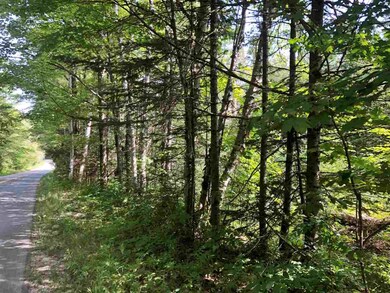 0 Newark St unit 4714978, West Burke, VT 05871 - photo 3