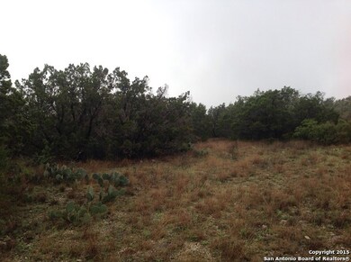 222 County Road 244, Hondo, TX 78861 - photo 3