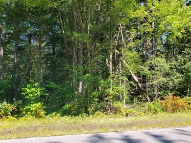 O C Rd - 20240824_111155 (Large)