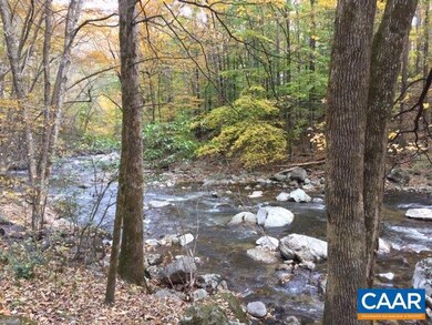 TBD Crabtree Falls Hwy, Tyro, VA 22976 - photo 3