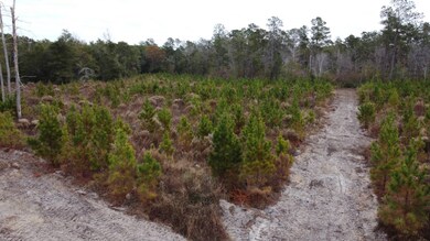 Lot 2 Amos Rd, Georgetown, SC 29440 - photo 5