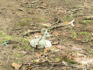 0 Pinewood Dr unit 5, Waynesville, NC 28786 - photo 5