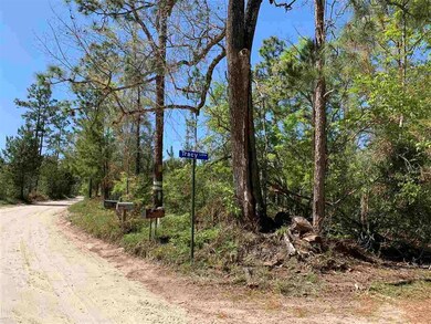 348 Cooperwood Rd, Crawfordville, FL 32327 - photo 5