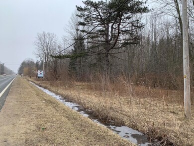 0 N Red Arrow Hwy unit 24007952, Sawyer, MI 49125 - photo 2