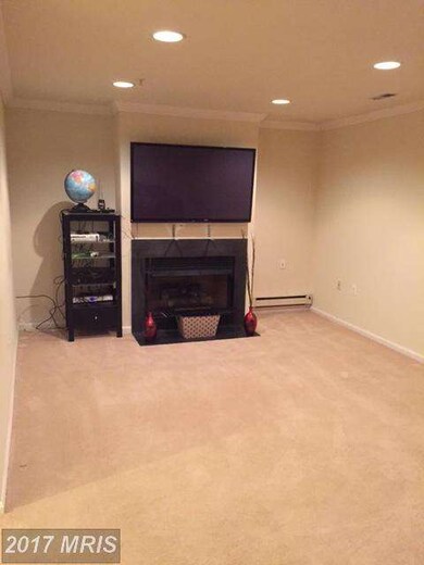 4617 Sherwood Mills Rd, Owings Mills, MD 21117 - photo 6