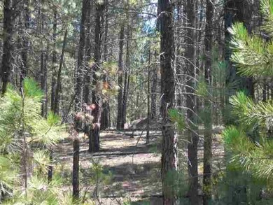 28XX E Golden Rd, Spokane, WA 99208 - photo 4