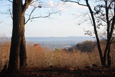 DSC_1230 (1024x685)