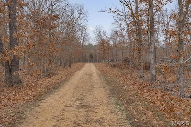 0 Private Lane 405 unit MIS25073319, Salem, MO 65560 - photo 7