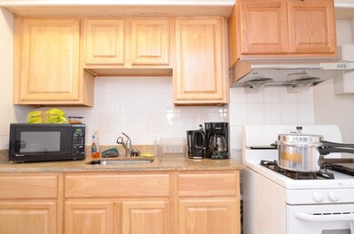 5 Knapp St unit 3, Boston, MA 02111 - photo 7