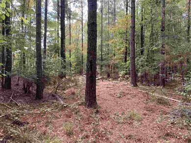 002 Pilgrim Rest Dr, Brandon, MS 39042 - photo 4