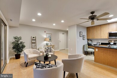 1002 Primrose Rd unit 304, Annapolis, MD 21403 - photo 6