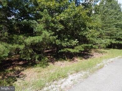 35 Montevideo Rd, Berkeley Springs, WV 25411 - photo 3