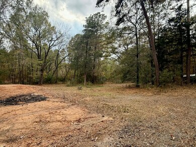 252 Jeanne Ln, Stonewall, LA 71078 - photo 5