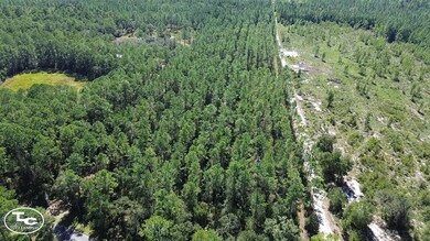 0 NE 212th Street Rd unit 11604827, Fort McCoy, FL 32134 - photo 6