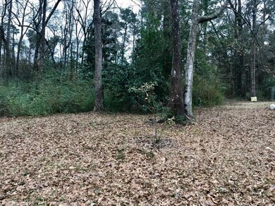 0 Saint Peter Dr, Slidell, LA 70460 - photo 2