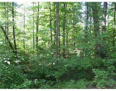 Land/Lot.