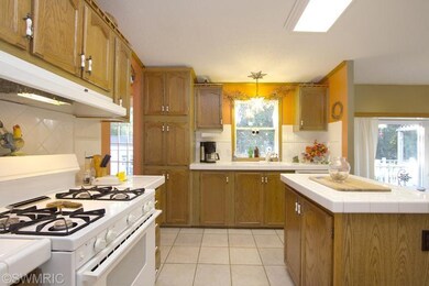 156 E Beech St NE, Cedar Springs, MI 49319 - photo 4