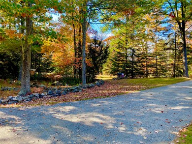 front yard - driveway from deck