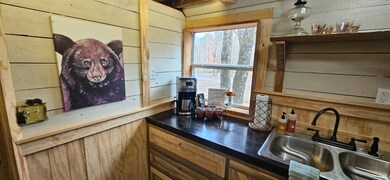 1 Tbd Big Cedar Oklahoma, Big Cedar, OK 74939 - photo 5