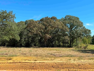 0 Hampton Ridge Ct unit Lot 50 351764, Mobile, AL 36608 - photo 2