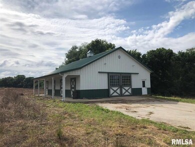 0 S Taylor Rd, Hanna City, IL 61536 - photo 6