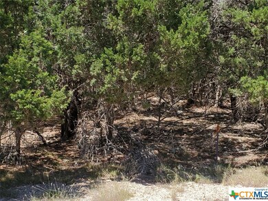 5267 Comanche Dr, Temple, TX 76502 - photo 3