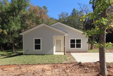 10331 Creek Bend Dr, Tyler, TX 75707 - photo 4