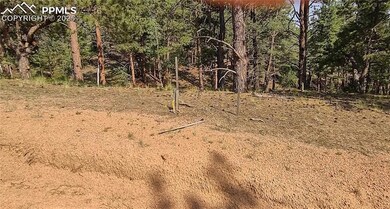 54 Garnet Way, Florissant, CO 80816 - photo 7