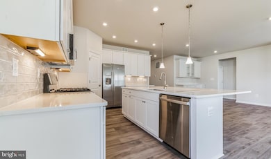 17 Golden Raintree Ct, Middletown, DE 19709 - photo 6