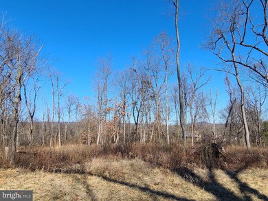 Lot 2 Langhorne, Winchester, VA 22602 - photo 4