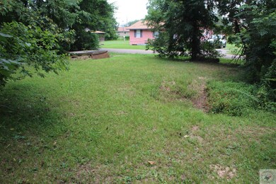 413 E Hayward St, Other, AR 71801 - photo 6