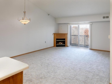 Powers Ridge Condominiums unit 320, Chanhassen, MN 55317 - photo 6