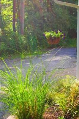 184 Forest St, Rockland, MA 02370 - photo 3