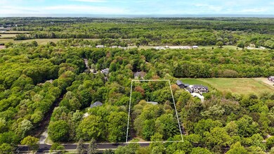 Aerial 2
