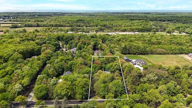 Aerial 2