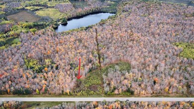 ON Cth A unit Lot 3, Deerbrook, WI 54424 - photo 4