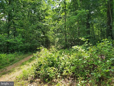 0 Parsons Rd unit WVBE2021220, Hedgesville, WV 25427 - photo 5