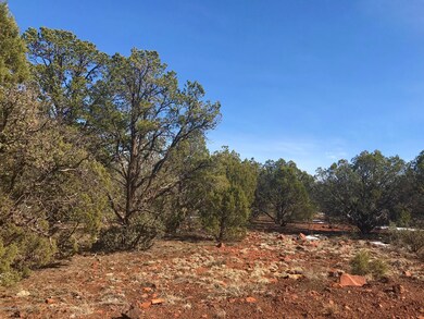 41 Bullock Rd, Ash Fork, AZ 86320 - photo 7
