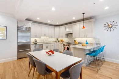 142 Fuller St unit 2, Brookline, MA 02446 - photo 6