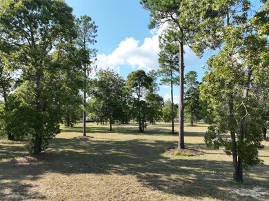 7 Unfenced area 2