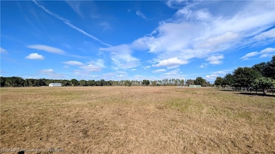 4492 Alderman Rd, Bowling Green, FL 33834 - photo 2