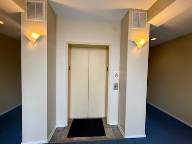 2327 W Wolfram St unit 311, Chicago, IL 60618 - photo 4