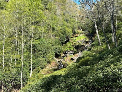 C1 Falling Water Dr, Highlands, NC 28741 - photo 4