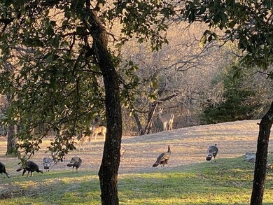 unlisted-address, Springtown, TX 76082 - photo 4