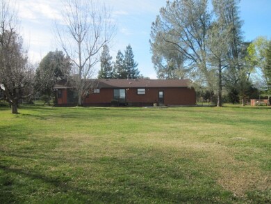 Saddle-Kimball- 019