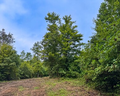 Tract 6 Sheep Ranch Rd, Robbins, TN 37852 - photo 5