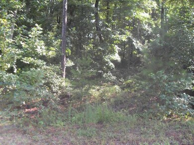 Loblolly Lane 4