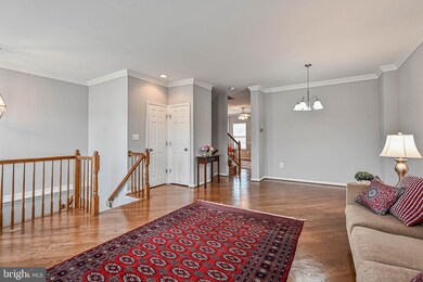 42817 Shaler St, Chantilly, VA 20152 - photo 3