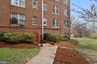2456 20th St NW unit B, Washington, DC 20009 - photo 3